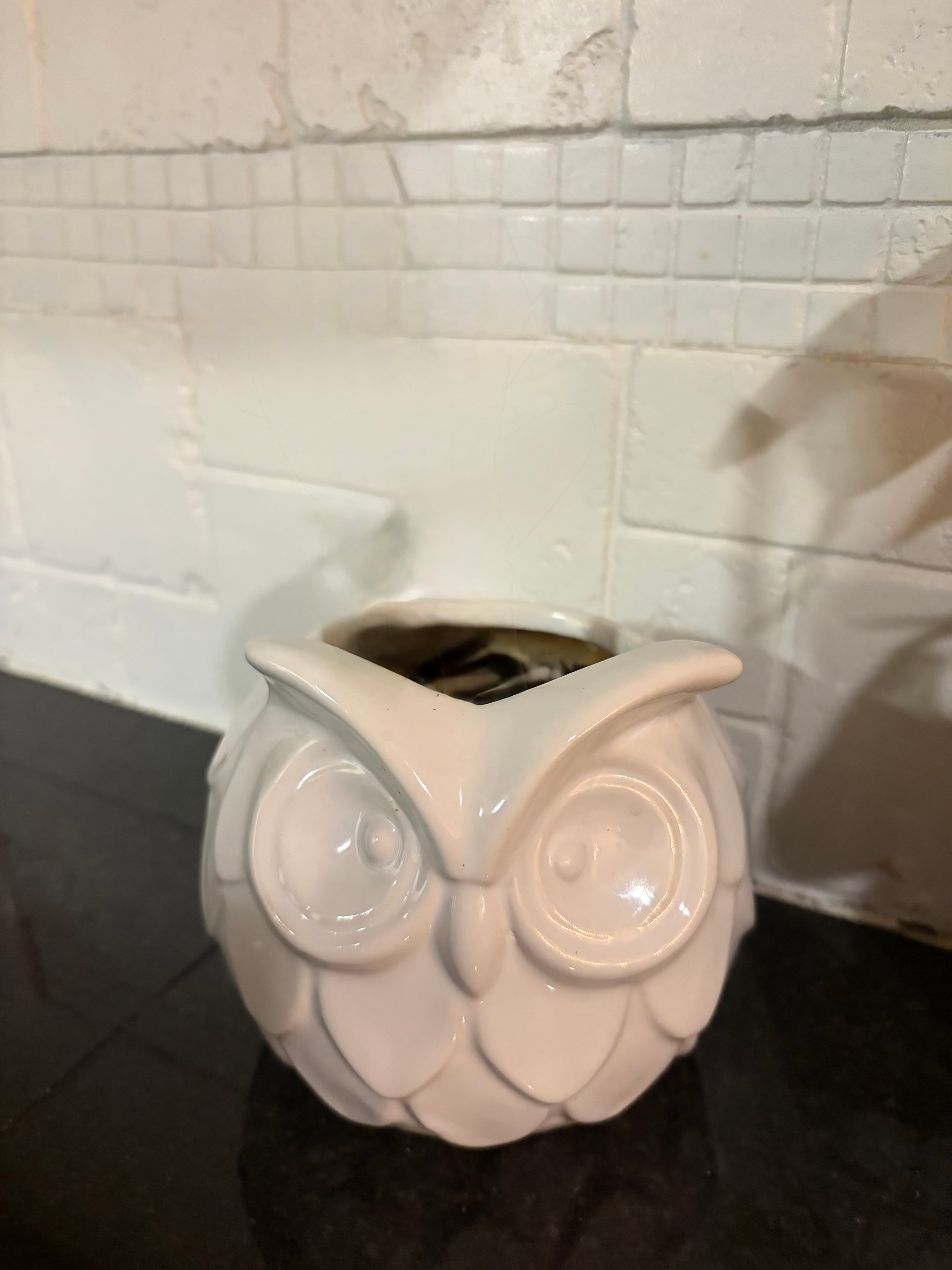 Ceramic owl pot with a small plant on the studio shelf